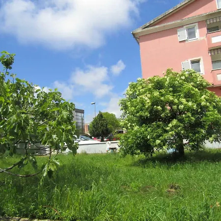 Garden *