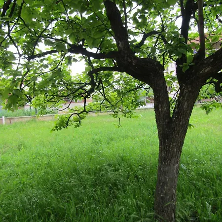 Garden * روفينج