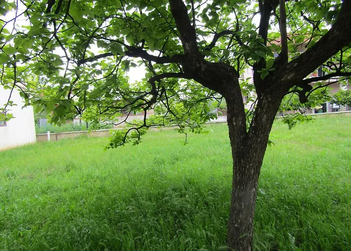 Garden * Rovigno