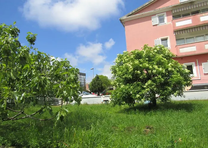 Garden *