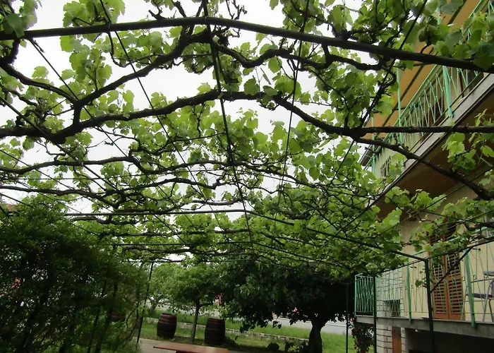 Garden Appartement